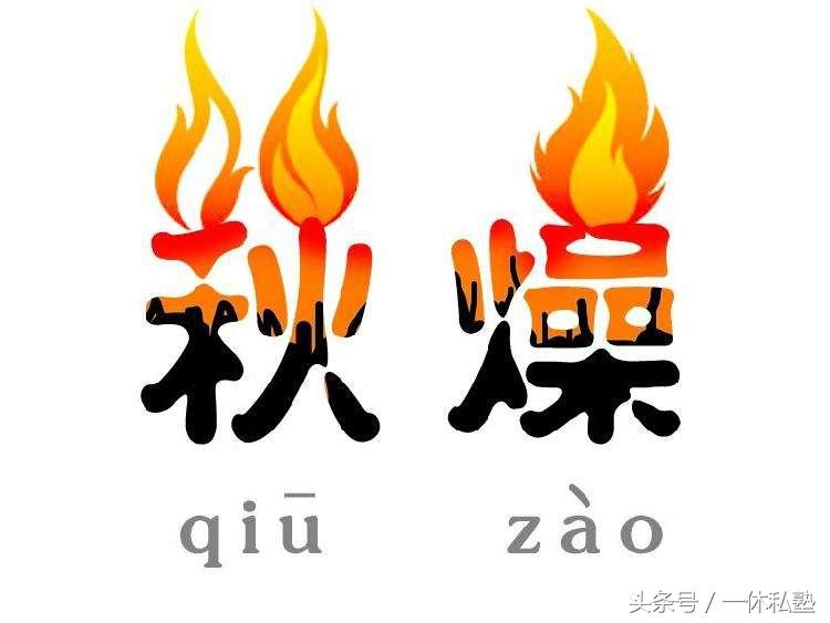 中医里的药用糕点_中医糕点药用里是什么_中医糕点药用里有什么