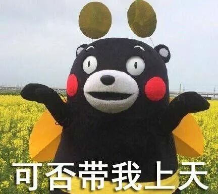橘子糕的制作方法_橘子味蛋糕什么意思_橘子味糕点