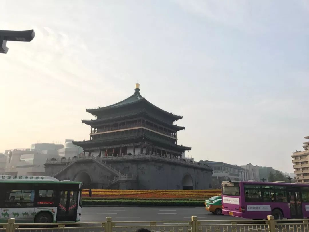 大唐国际有什么好吃的_大唐国际美食攻略路线_大唐美食城