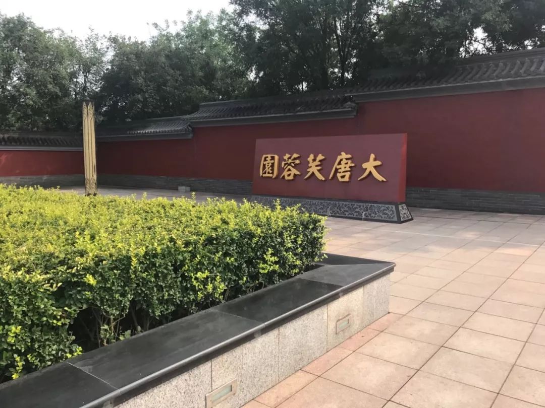 大唐国际美食攻略路线_大唐国际有什么好吃的_大唐美食城