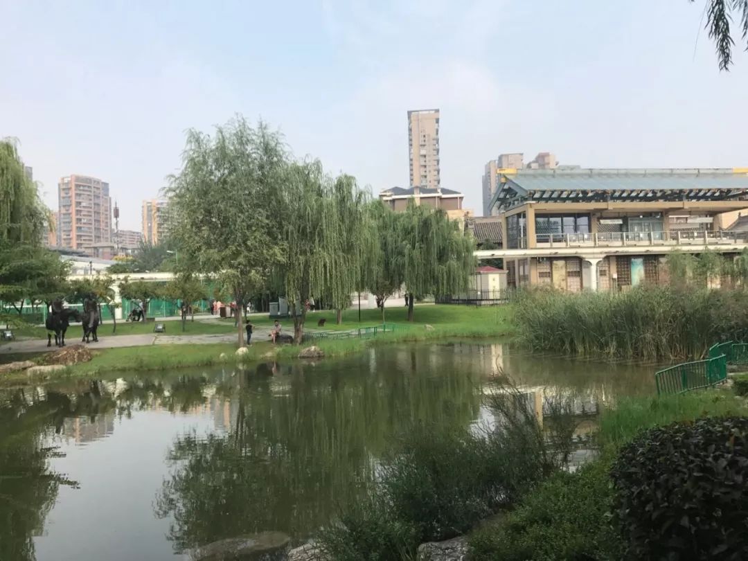 大唐美食城_大唐国际有什么好吃的_大唐国际美食攻略路线